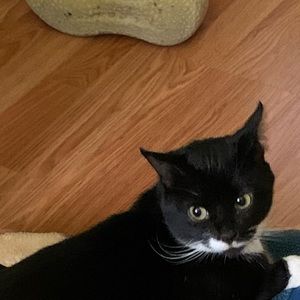 Meet your Posher, Diego